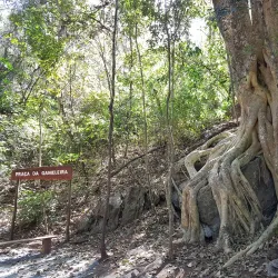 Parque Municipal da Lagoa Grande - Montes Claros