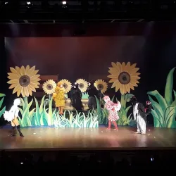 Teatro Francisco Nunes - Montes Claros