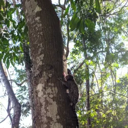 Parque da Cidade - Muriaé