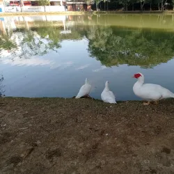 Parque da Cidade - Muriaé