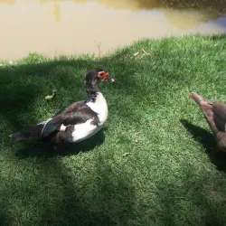 Parque da Cidade - Muriaé