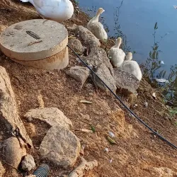 Parque da Cidade - Muriaé