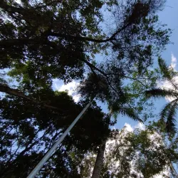 Parque da Cidade - Muriaé