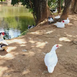 Parque da Cidade - Muriaé