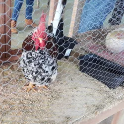 Parque Municipal de Exposições - Muriaé