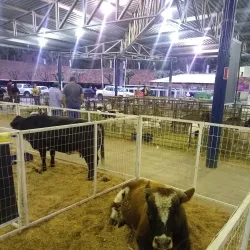 Parque Municipal de Exposições - Muriaé