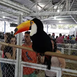 Parque Municipal de Exposições - Muriaé