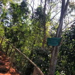 Parque Natural Municipal da Cachoeira da Fumaça - Muriaé