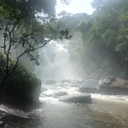 Parque Natural Municipal da Cachoeira da Fumaça - Muriaé