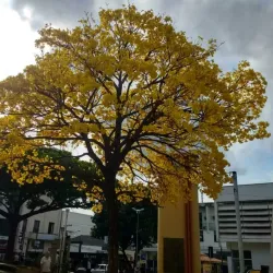 Praça João Pinheiro - Muriaé