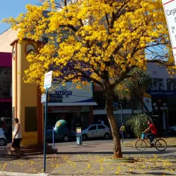 Praça João Pinheiro - Muriaé