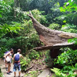 Parque Estadual da Serra da Tiririca - Niteroi