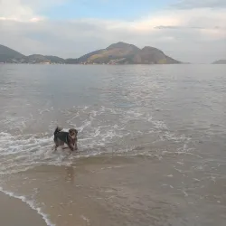 Praia de Icaraí - Niteroi