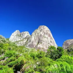 Parque Estadual dos Três Picos - Nova Friburgo