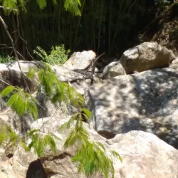 Cachoeira do Chapéu - Nova Lima