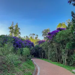 Parque Municipal Henrique Luis Roessler - Novo Hamburgo
