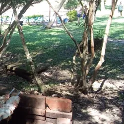 Parque Natural Municipal da Lomba do Sabão - Novo Hamburgo