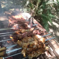 Parque Natural Municipal da Lomba do Sabão - Novo Hamburgo