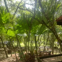 Parque Natural Municipal da Lomba do Sabão - Novo Hamburgo