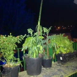 Centro Cultural Osasco - Osasco