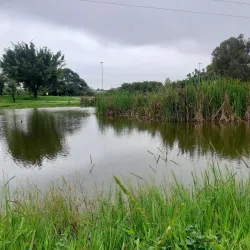 Parque dos Paturis - Osasco