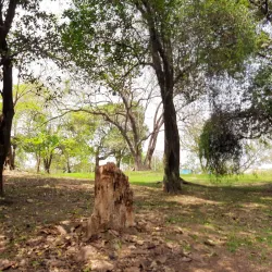 Parque dos Paturis - Osasco