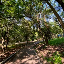 Parque Ecológico Dionísio Alvarez Mateos - Osasco