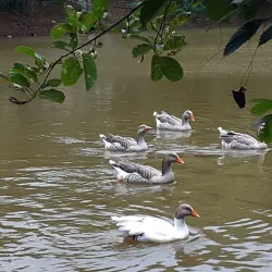 Parque Ecológico Dionísio Alvarez Mateos - Osasco