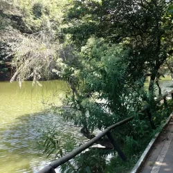 Parque Ecológico Dionísio Alvarez Mateos - Osasco
