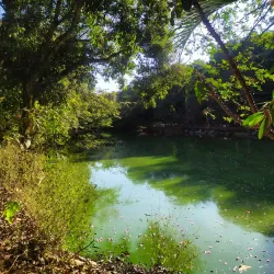 Parque Ecológico Dionísio Alvarez Mateos - Osasco