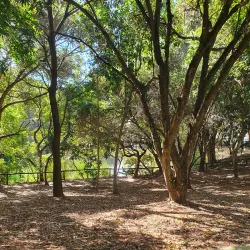 Parque Ecológico Dionísio Alvarez Mateos - Osasco