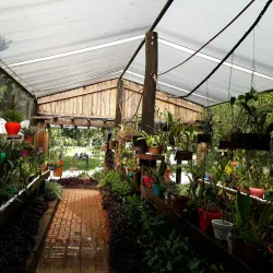 Parque Municipal Chico Mendes - Osasco