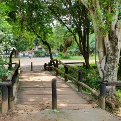 Parque Municipal Chico Mendes - Osasco