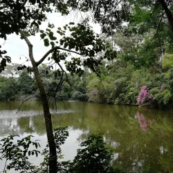 Parque Municipal Chico Mendes - Osasco
