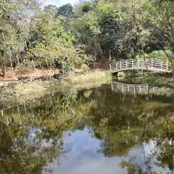 Parque Municipal Chico Mendes - Osasco