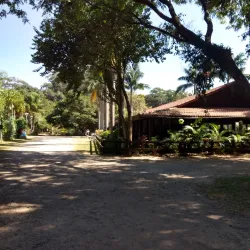 Parque Municipal Chico Mendes - Osasco
