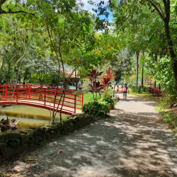Parque Municipal Chico Mendes - Osasco
