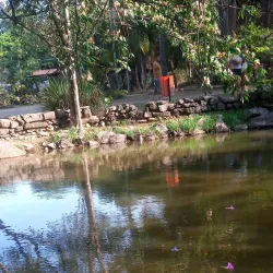 Parque Municipal Chico Mendes - Osasco