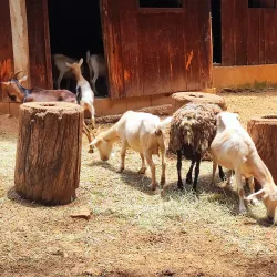 Praça das Crianças - Osasco