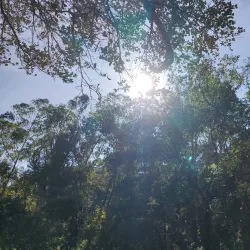 Cachoeira do Simão - Ouro Branco