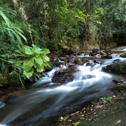 Cachoeira do Simão - Ouro Branco