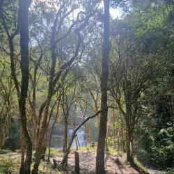 Cachoeira do Simão - Ouro Branco