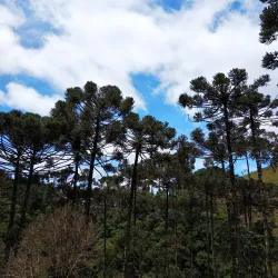 Cachoeira do Simão - Ouro Branco