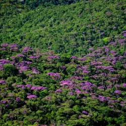 Parque das Águas - Ouro Branco