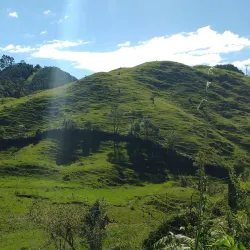 Parque Natural Municipal da Serra do Tabuleiro - Palhoça
