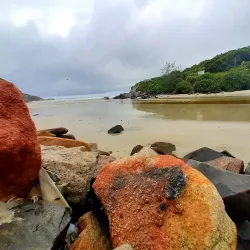 Praia do Armação - Palhoça