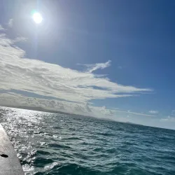 Reserva Biológica Marinha do Arvoredo - Palhoça