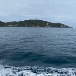 Reserva Biológica Marinha do Arvoredo - Palhoça