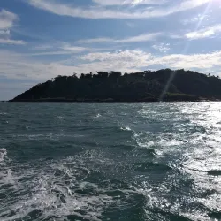 Reserva Biológica Marinha do Arvoredo - Palhoça