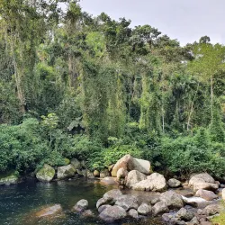Cachoeira da Pedra Branca - Paraty